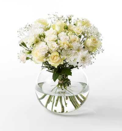 Fairtrade rosebukett i hvitt  Fairtrade rosebukett i hvitt